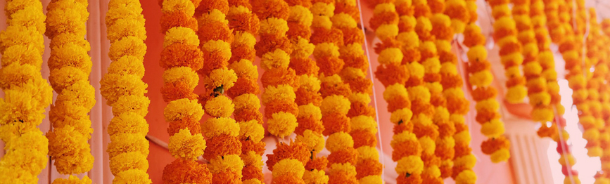 Luxury Banquet Hall Details